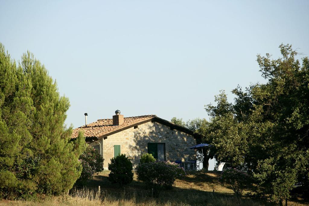 Fattoria Poggio Foco Villa Manciano Szoba fotó
