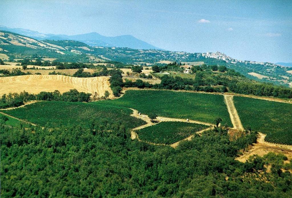 Fattoria Poggio Foco Villa Manciano Kültér fotó