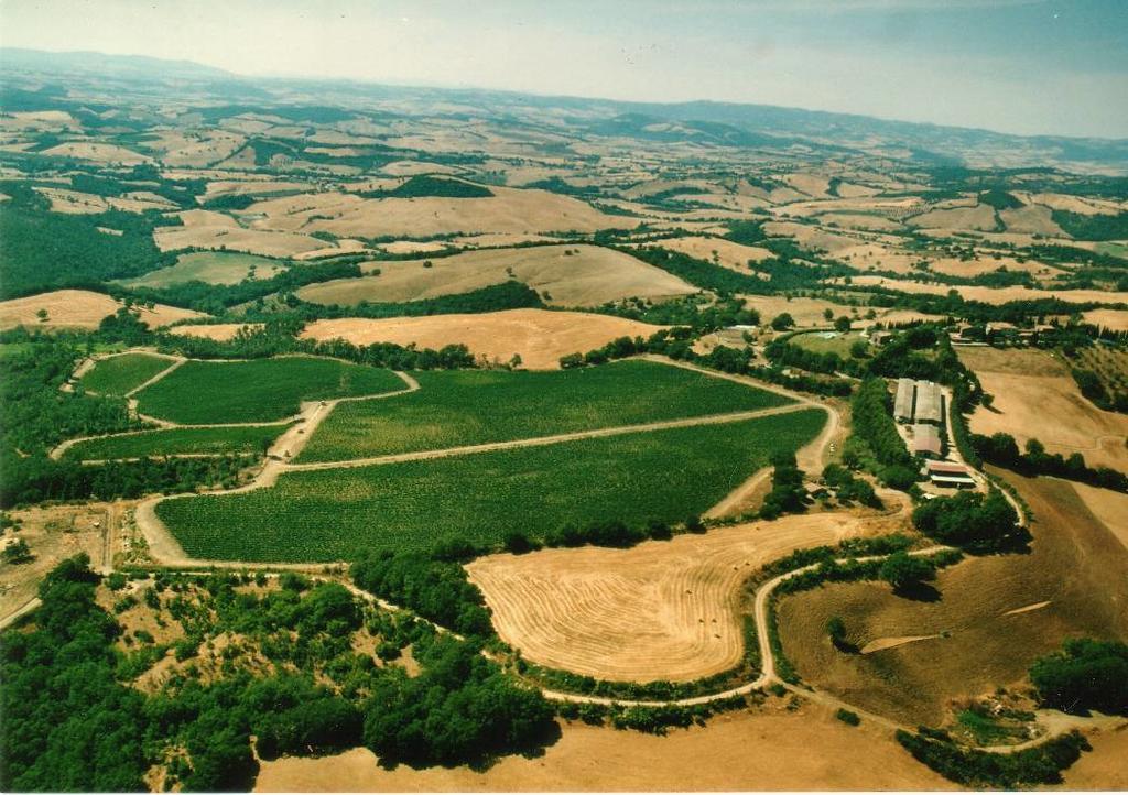 Fattoria Poggio Foco Villa Manciano Kültér fotó